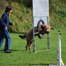 mini-Agility_JPG-1295694002