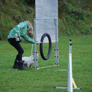 mini-Agility _3__JPG-1295694011