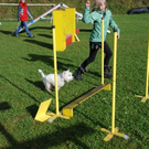 mini-Agility _4__JPG-1295694015