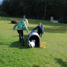 mini-Agility _5__JPG-1295694018