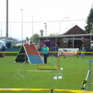 mini-Agility _9__JPG-1295694028