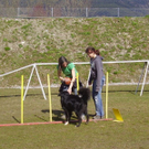 mini-Agility _11__JPG-1295694035