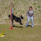 mini-Agility _14__JPG-1295694046