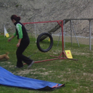 mini-Agility _20__JPG-1295694063