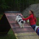 mini-Agility _21__JPG-1295694065