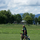 mini-Begleithundetraining _2__JPG-1295694074