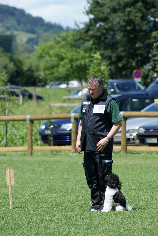 mini-Begleithundetraining _4__JPG-1295694079