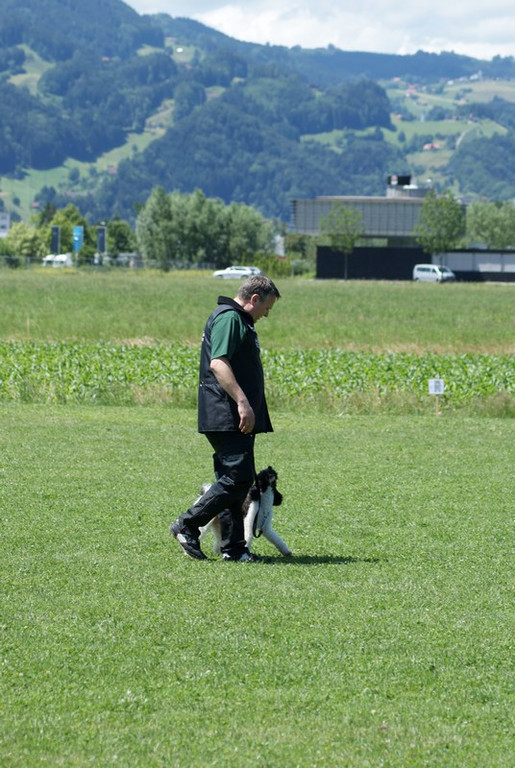 mini-Begleithundetraining _5__JPG-1295694082