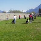 mini-Begleithundetraining _6__jpg-1295694085