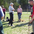 mini-Begleithundetraining _8__jpg-1295694092