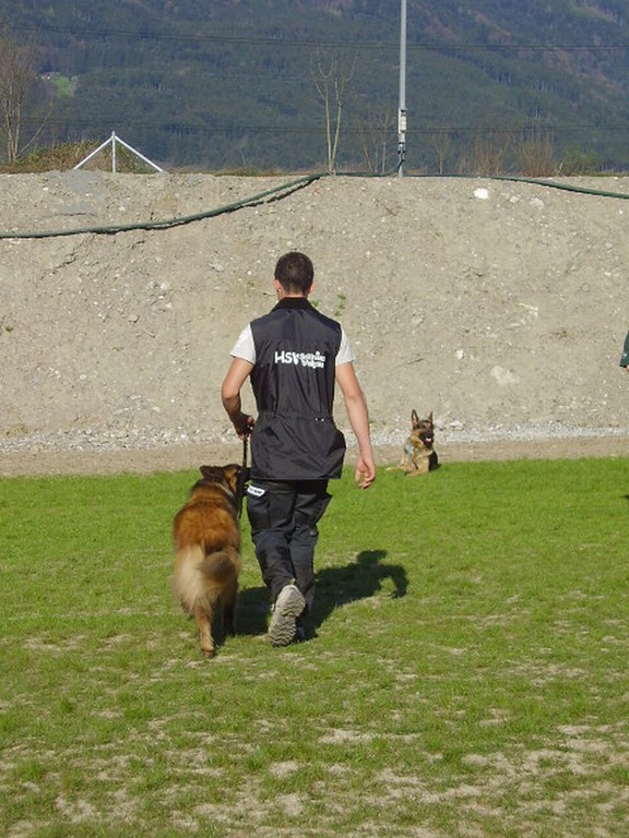mini-Begleithundetraining _11__jpg-1295694101