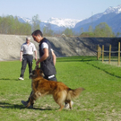 mini-Begleithundetraining _12__jpg-1295694104