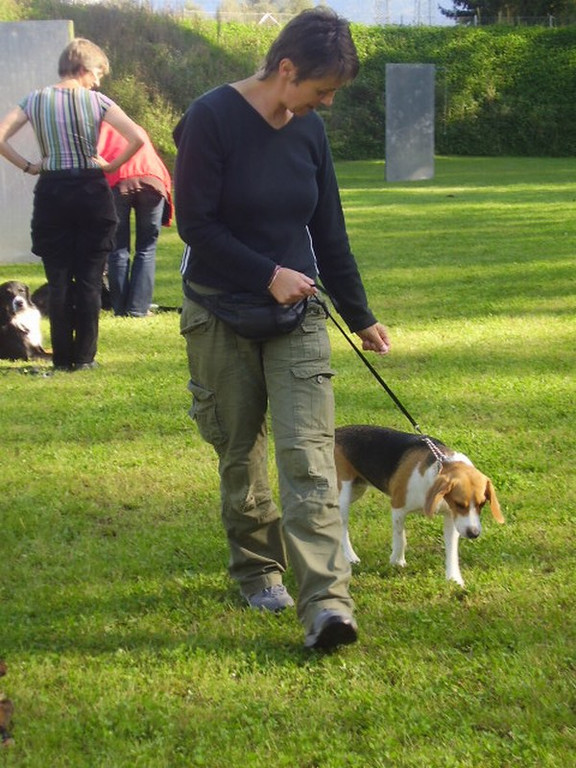 mini-Begleithundetraining _13__jpg-1295694107