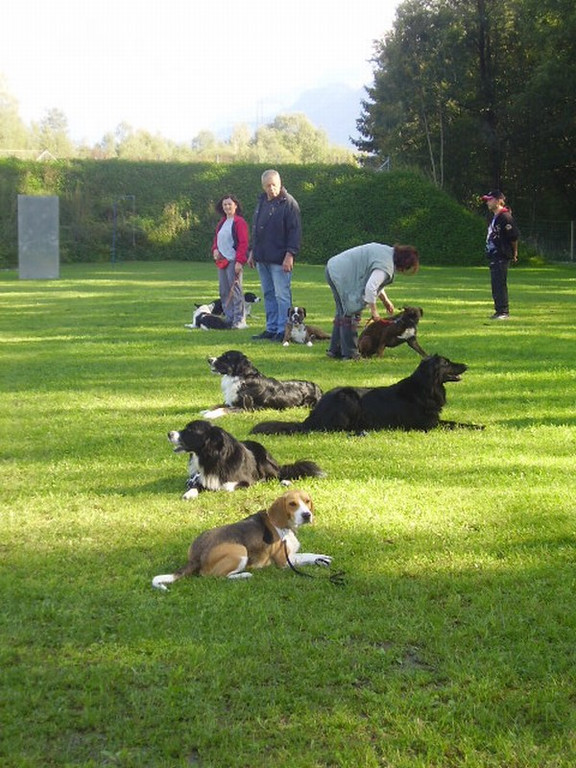 mini-Begleithundetraining _14__jpg-1295694110
