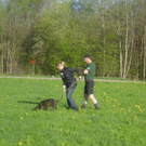 mini-F__hrtentraining_jpg-1295694126