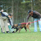 mini-Schutz-Training _1__JPG-1295694134