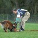 mini-Schutz-Training _2__JPG-1295694136