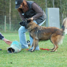 mini-Schutz-Training _4__JPG-1295694140