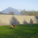 mini-Schutz-Training _11__jpg-1295694157
