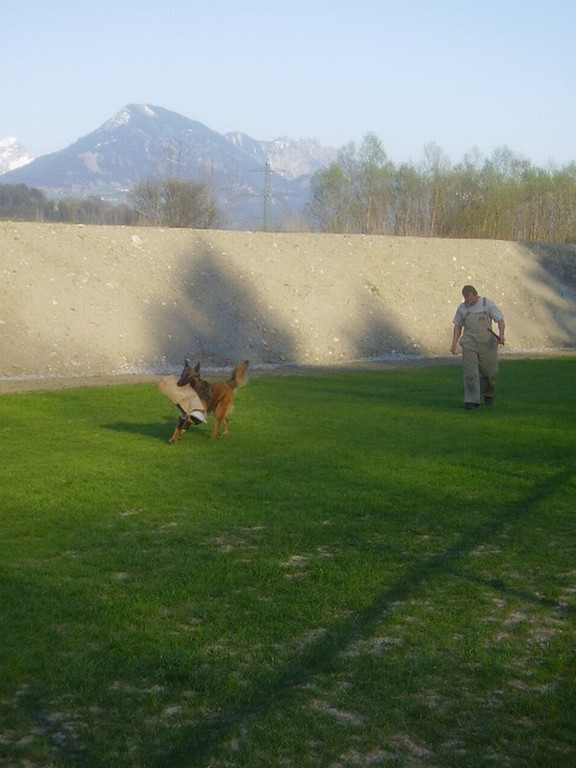 mini-Schutz-Training _11__jpg-1295694157
