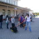 mini-Welpenschule _8__JPG-1295694196