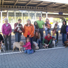 mini-Welpenschule _9__JPG-1295694199