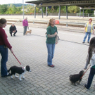 mini-Welpenschule _14__JPG-1295694210