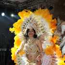 OeVP_Ball220111037.jpg