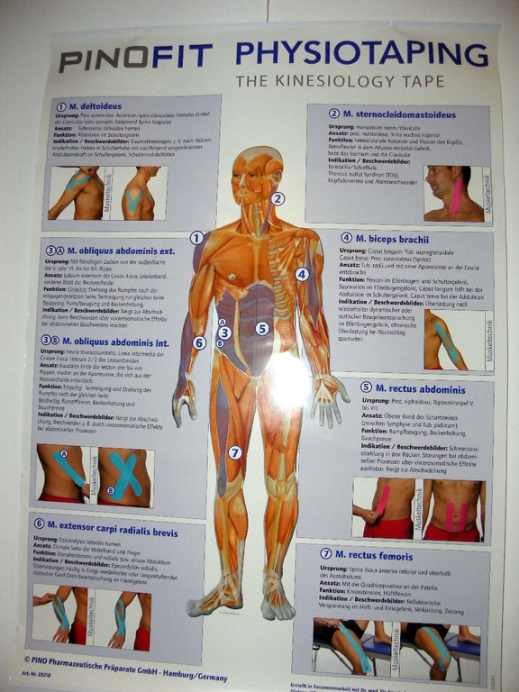 108_7122_jpg-1295732837