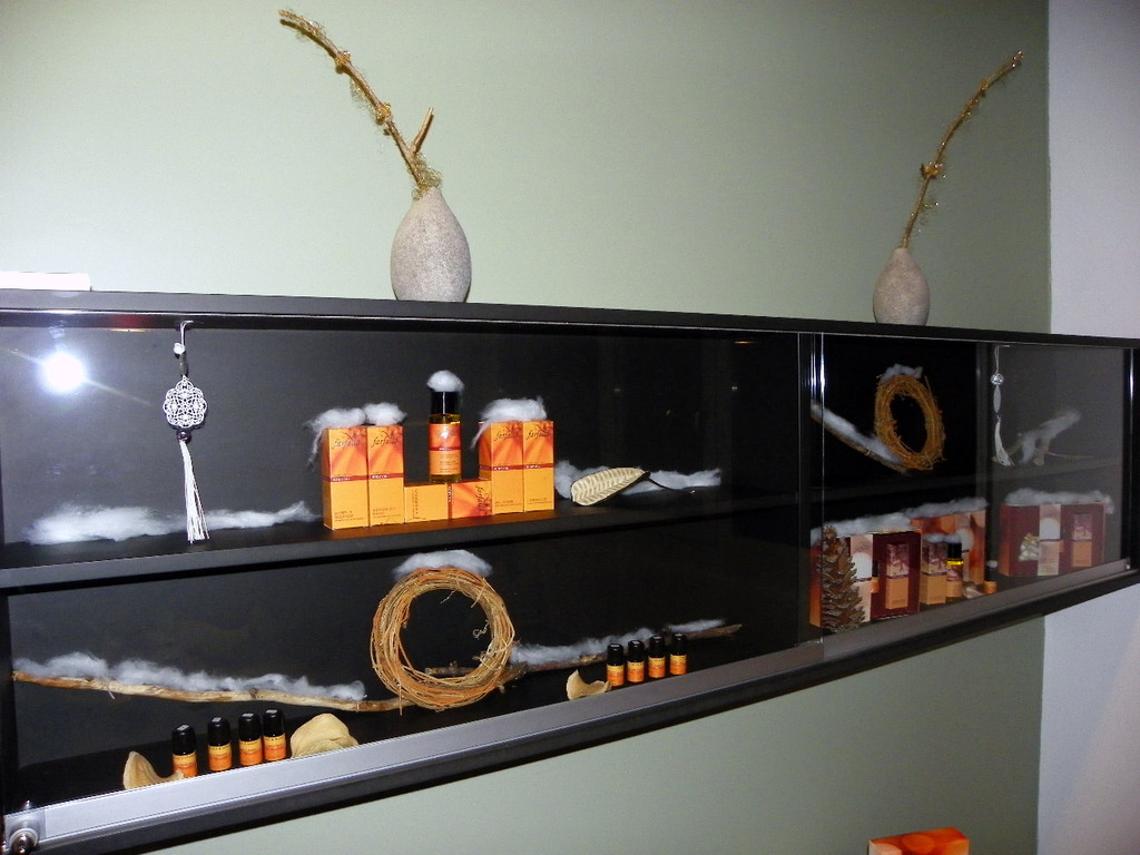 108_7129_jpg-1295732858