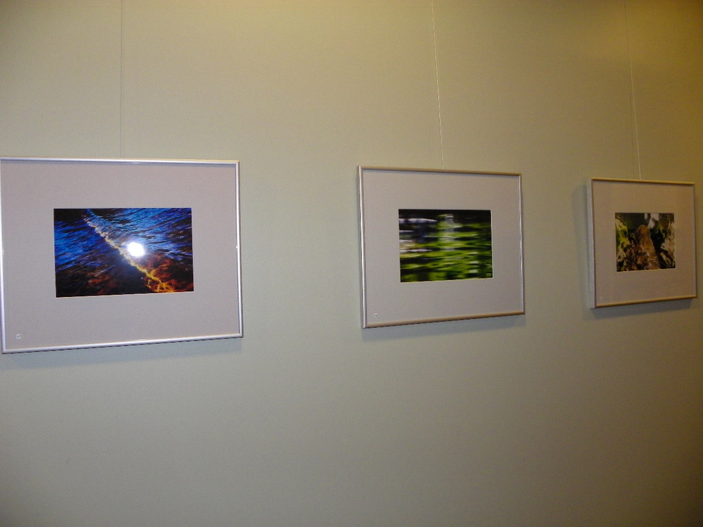 108_7130_jpg-1295732865