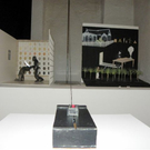 108_7371_jpg-1295735185