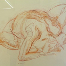 108_7430_jpg-1295735286