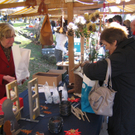 IMG_8224.JPG