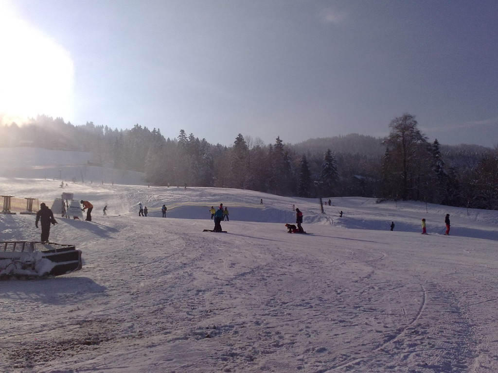 23012011450_jpg-1295776965