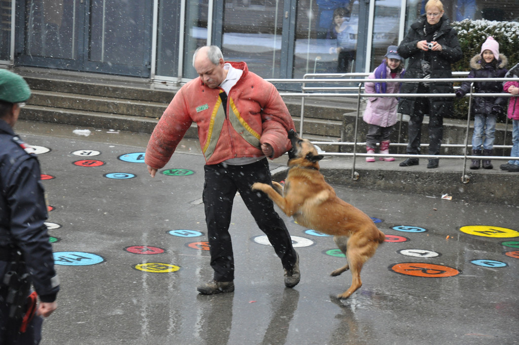 DSC_0070_JPG-1295789068