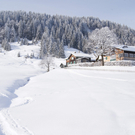 Zauberhafter Wintertag auf dem Bödele.