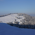 DSC05410.JPG