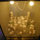 DSC_8774_jpg-1295804778