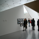 DSC_8772_jpg-1295804719