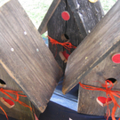 IMG_8312.JPG