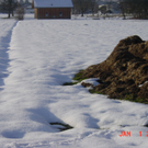 DSC03362_JPG-1295857065