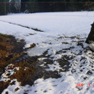 DSC03379_JPG-1295857174