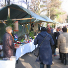 IMG_8523.JPG
