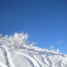 normal_22u23012011gennesalburgsberge_013.jpg