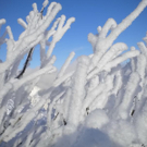 normal_22u23012011gennesalburgsberge_014.jpg
