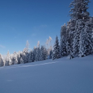 normal_22u23012011gennesalburgsberge_035.jpg
