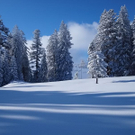 normal_22u23012011gennesalburgsberge_037.jpg