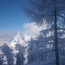 normal_22u23012011gennesalburgsberge_039.jpg
