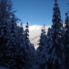 normal_22u23012011gennesalburgsberge_153.jpg